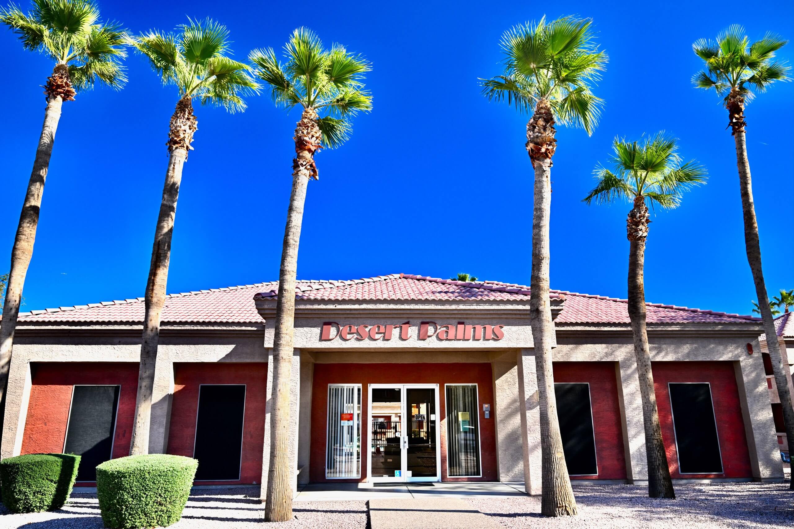 Desert Palms photo 5